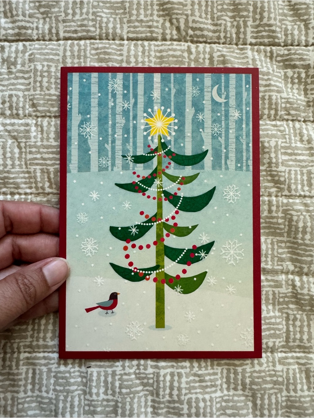 Holiday Greeting Card Set - Picture 10 of 11